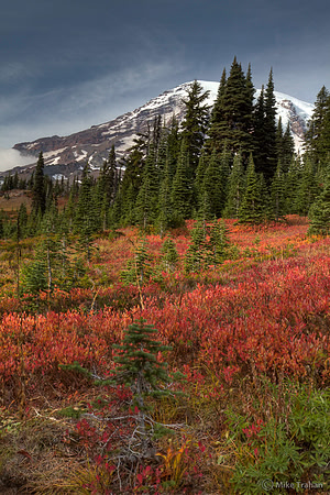 Mt. Rainier in the Fall