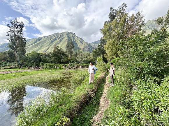 Walking along Inca Terraces
