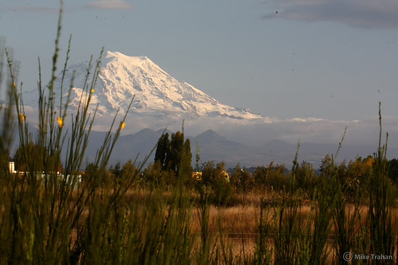 Mt. Rainier from the West
