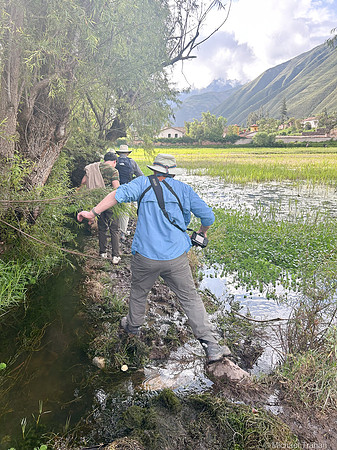 Walking along Inca Terraces