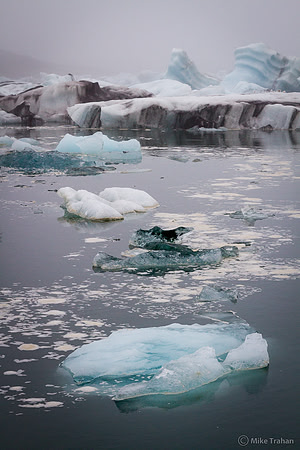 The Jokular lagoon