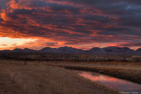 Bosque del Apache