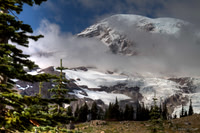 Mt. Rainier