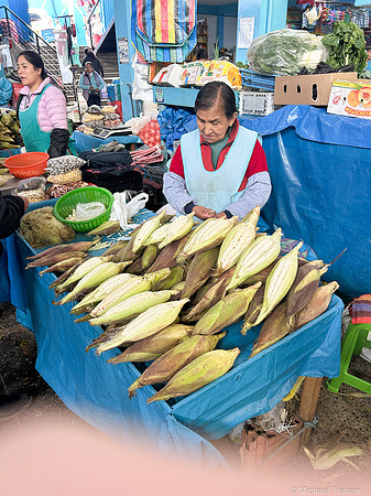 A Different Breed of Corn
