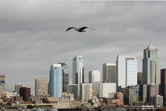 Seattle skyline