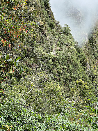 Machu Picchu, Day 2