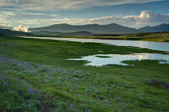 Hayden Valley
