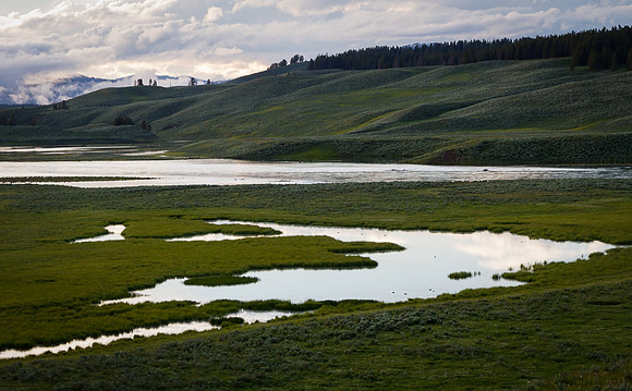 Hayden Valley