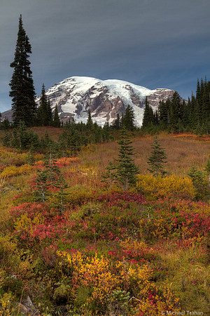 Mt. Rainier in the Fall