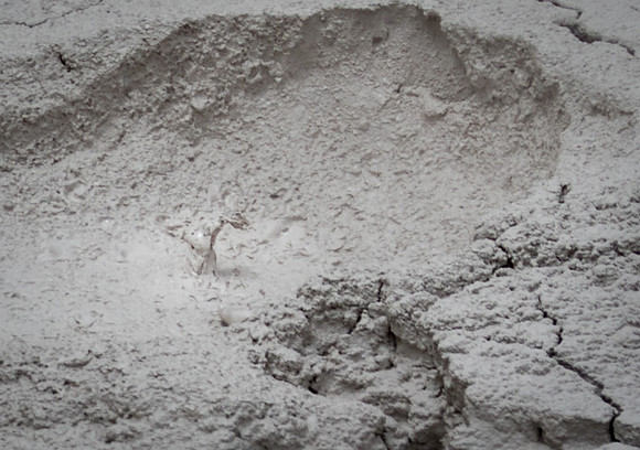 Mud Pot