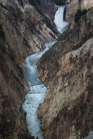 Grand Canyon of the Yellowstone