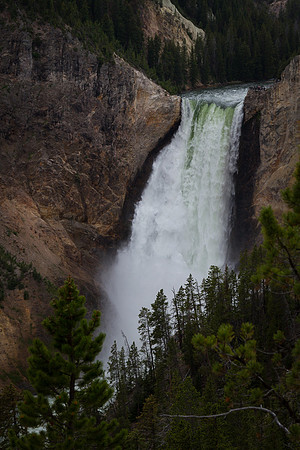 Grand Canyon of the Yellowstone