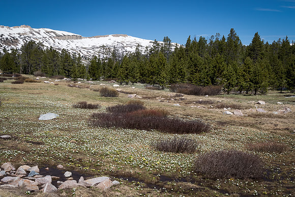 The Beartooth Highway