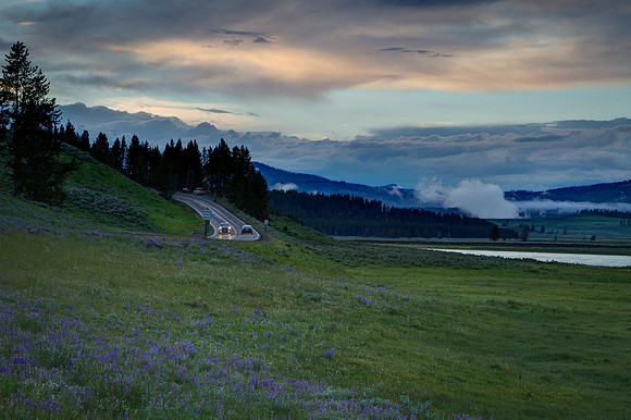 Hayden Valley