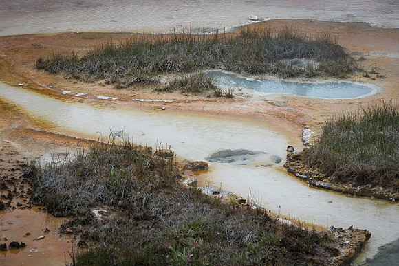Artist's Paintpot