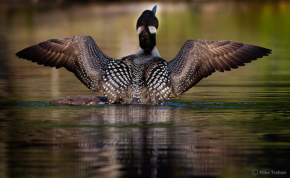 Streching Out