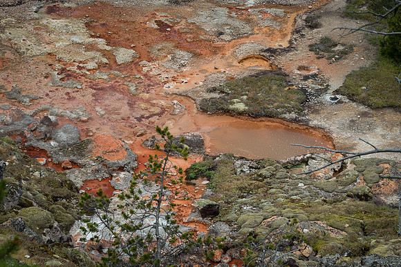 Artist's Paintpot