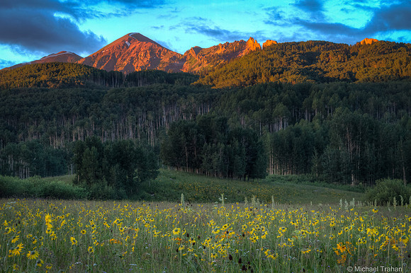 Summer mountain wildflowers at the Creasted Butte Colorado festival