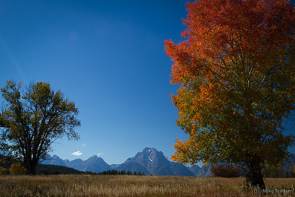 Fall colors at Grand Tetons National Park