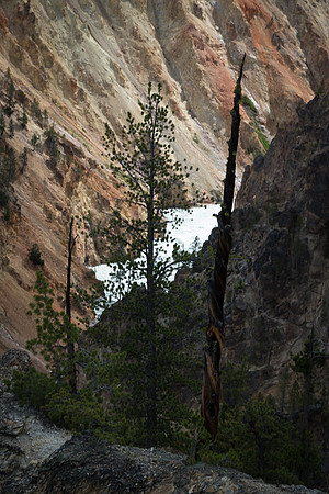 Grand Canyon of the Yellowstone