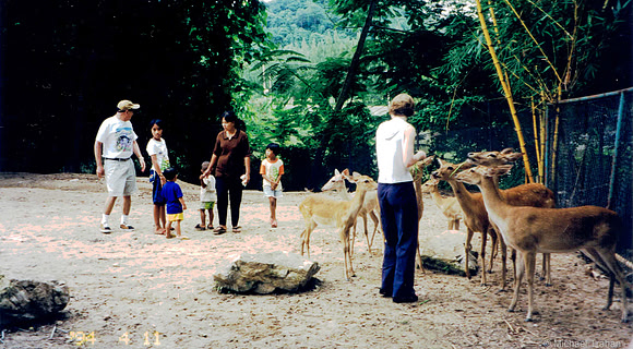 A visit to the zoo near Bangkok