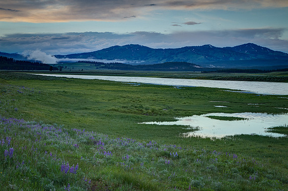 Hayden Valley
