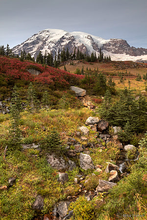 Mt. Rainier in the Fall