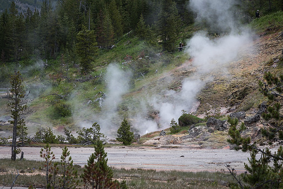 North Geyser Basin